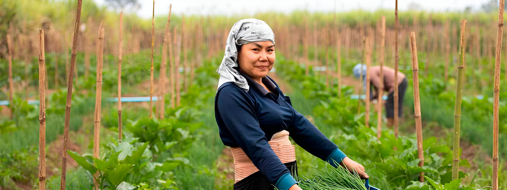 Woman worker field